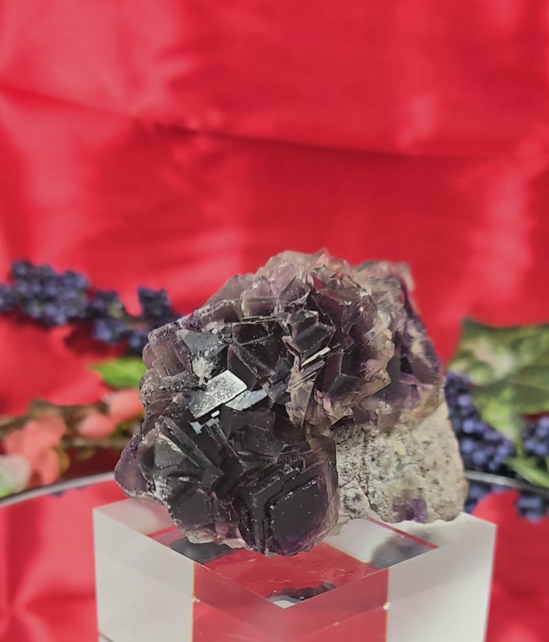 YGX FLUORITE