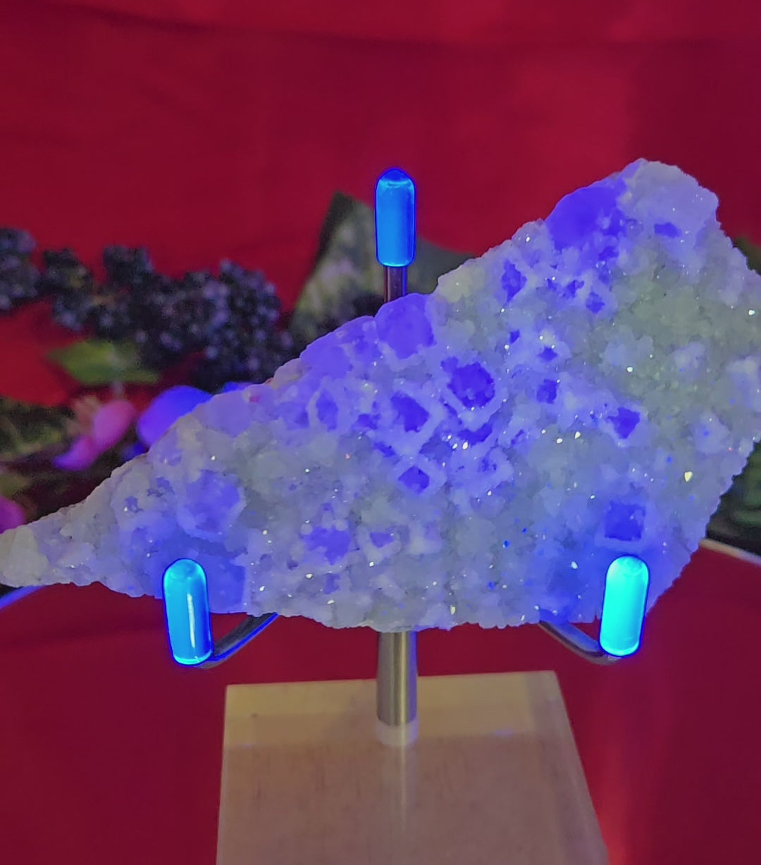 SUGAR FLUORITE