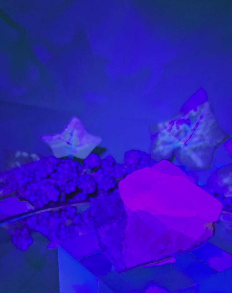 AMETHYST CLUSTER