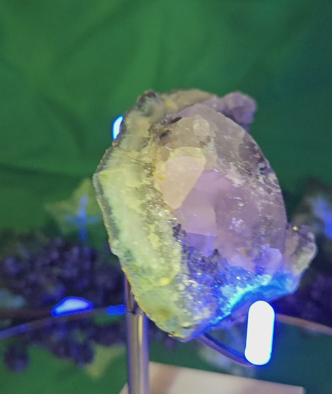 AMETHYST CLUSTER