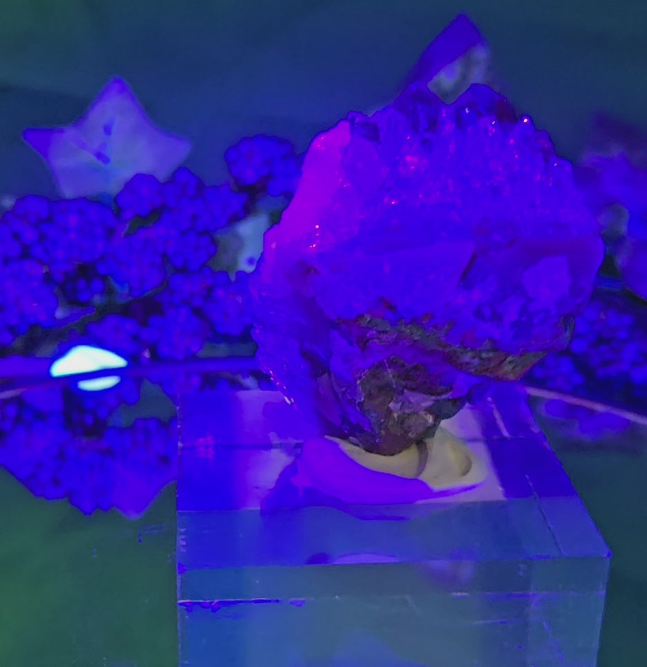 AMETHYST CLUSTER