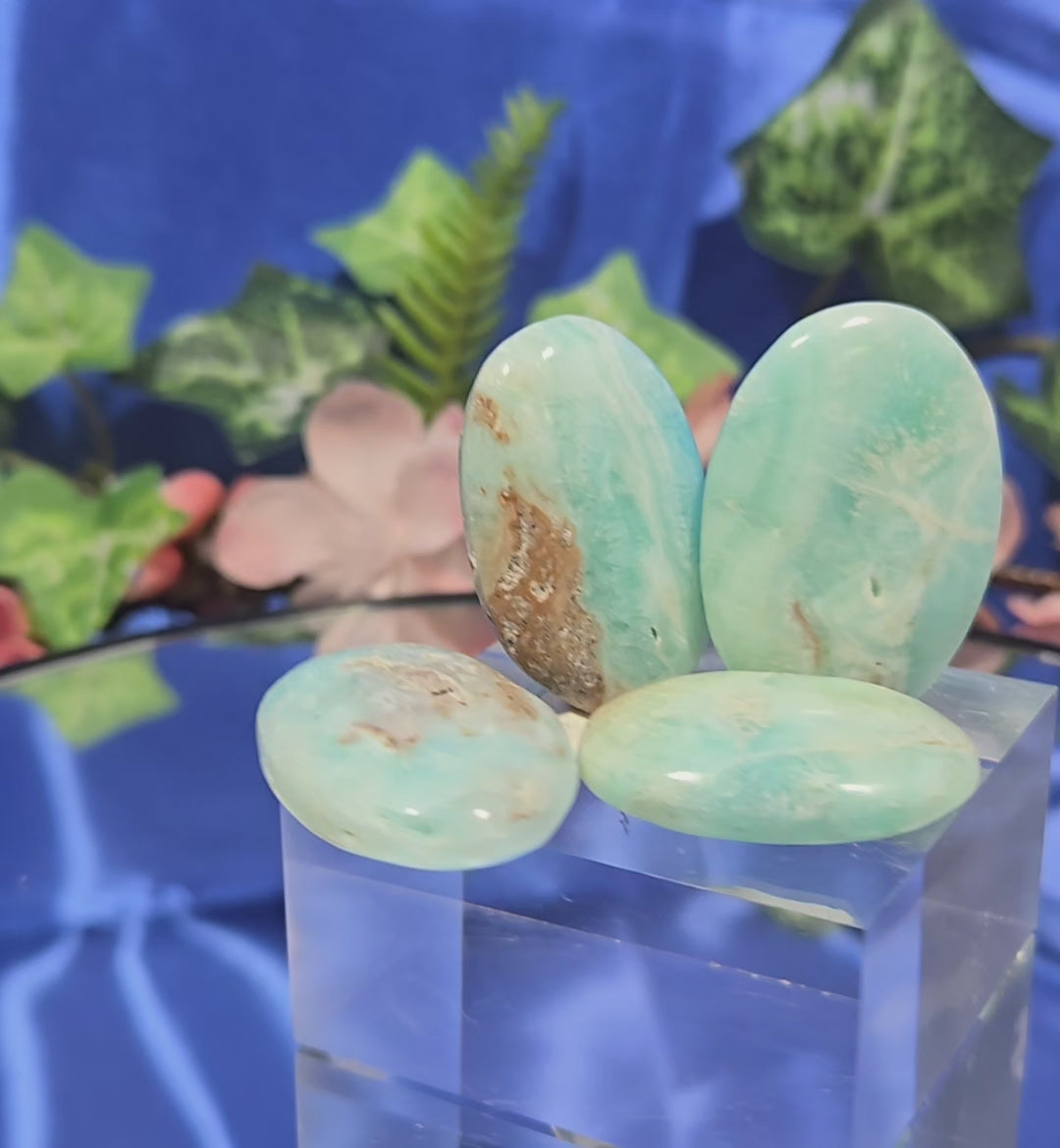 CARIBBEAN CALCITE PALM STONE