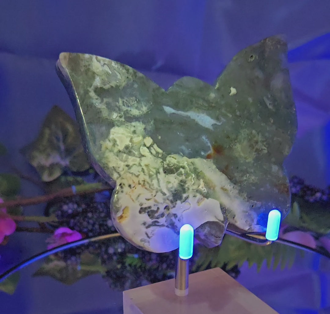 MOSS AGATE BUTTERFLY