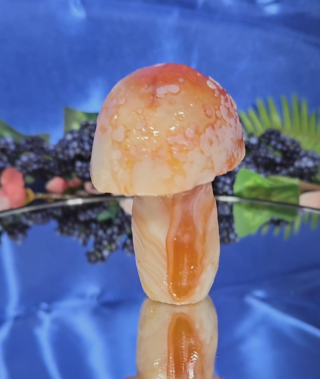 GOBI MUSHROOM AGATE