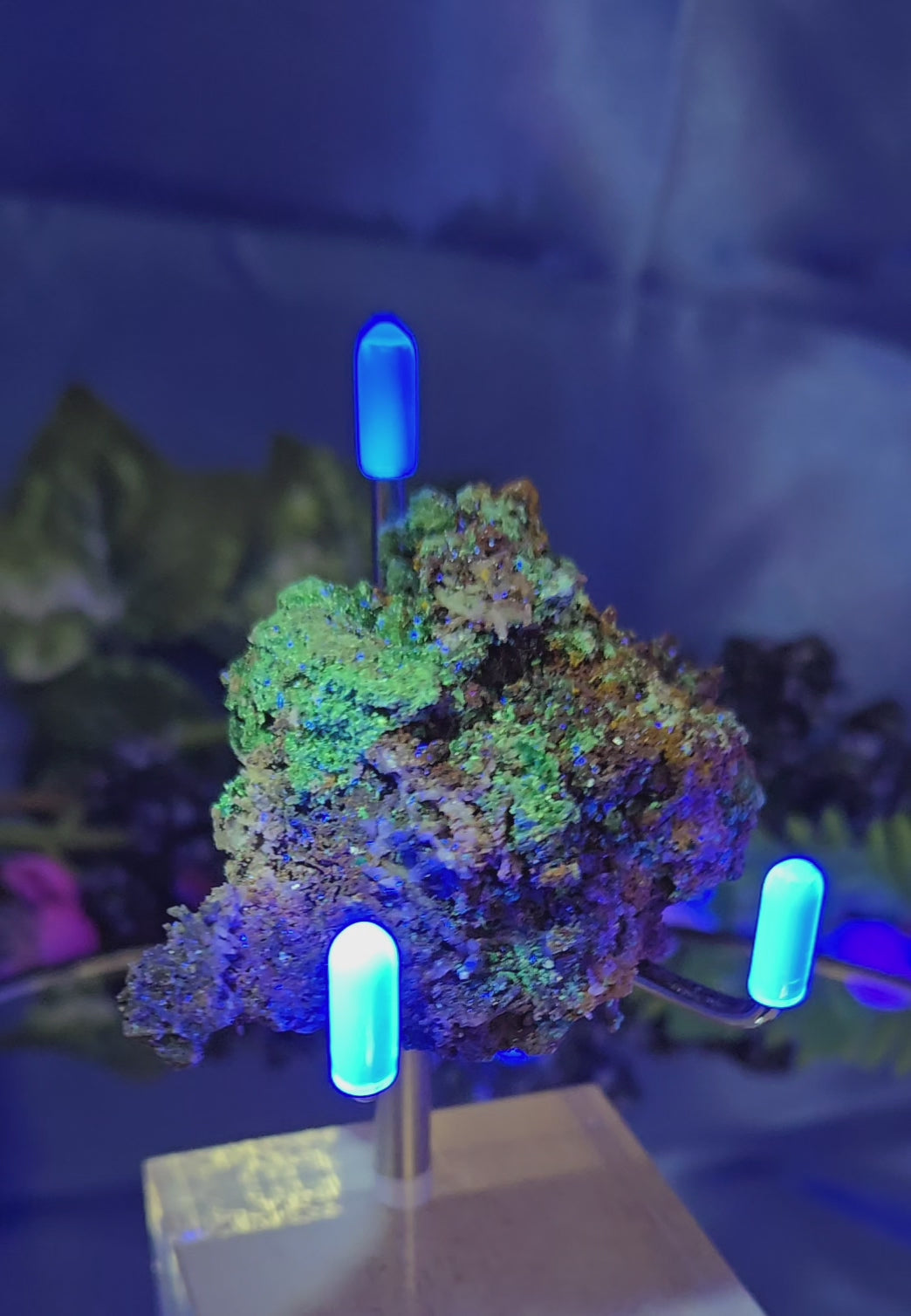 MALACHITE AZURITE