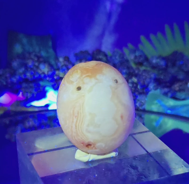 GOBI AGATE
