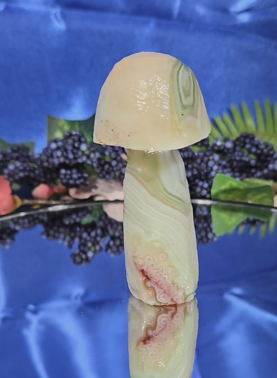 GOBI MUSHROOM AGATE