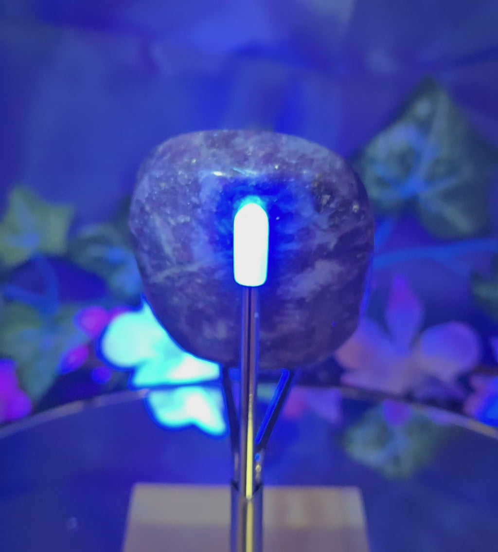 LEPIDOLITE PALM STONE