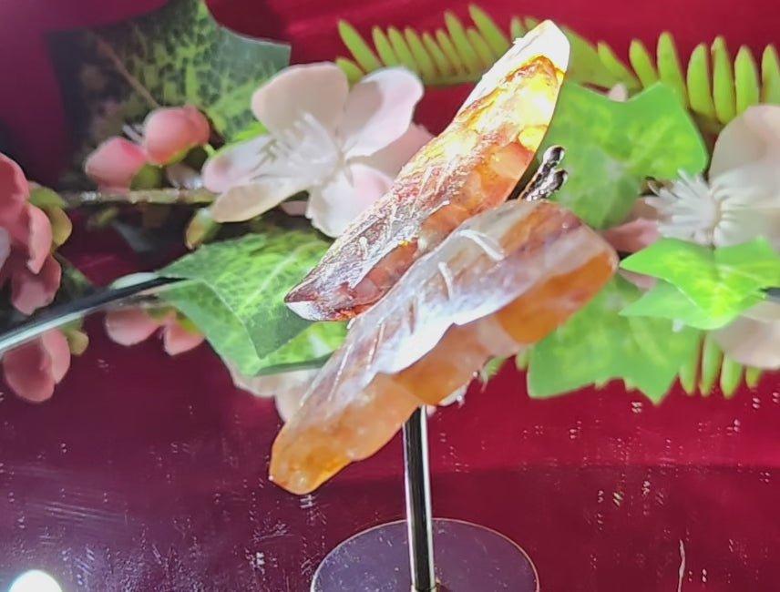 FIREQUARTZ BUTTERFLY