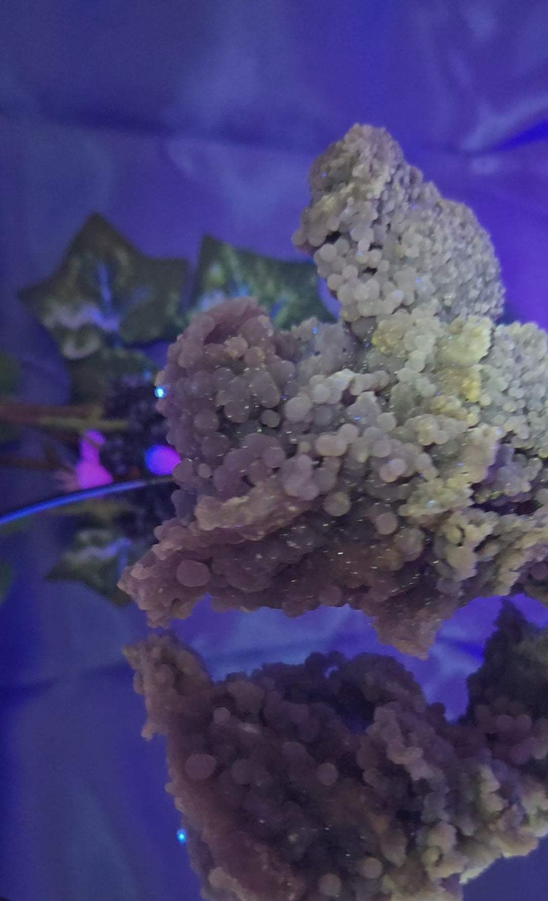 GRAPE AGATE